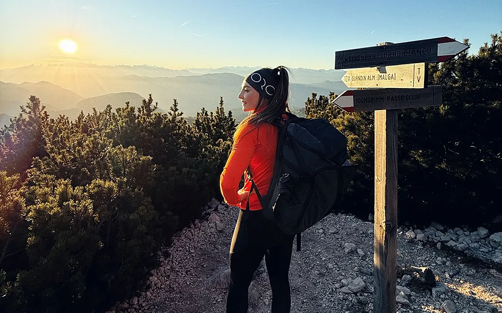 Доротея Вирер, Сеть Вирер.webp