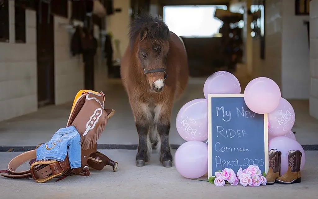 Джина Шумахер , Сеть Джины.webp