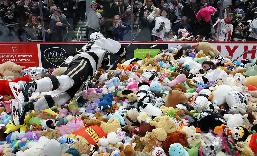 ХК_Херши_Беарс_игрушки,_Getty_Images_00000.webp