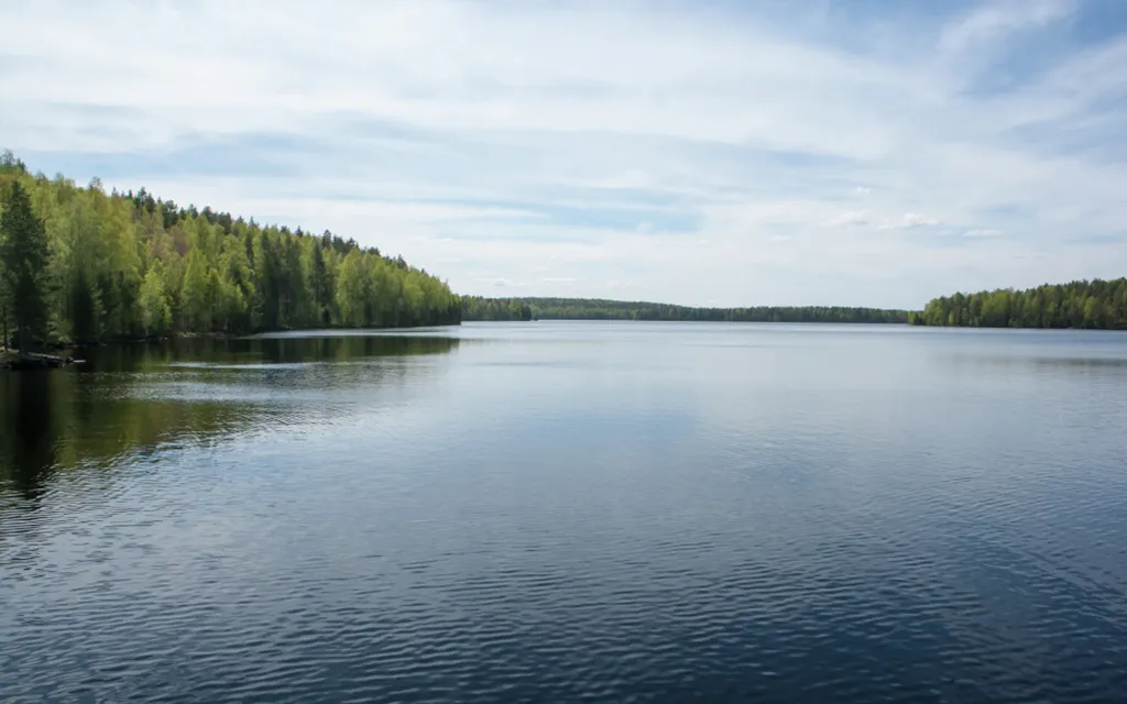 RIA_3126617.MR.1000 copy.webp