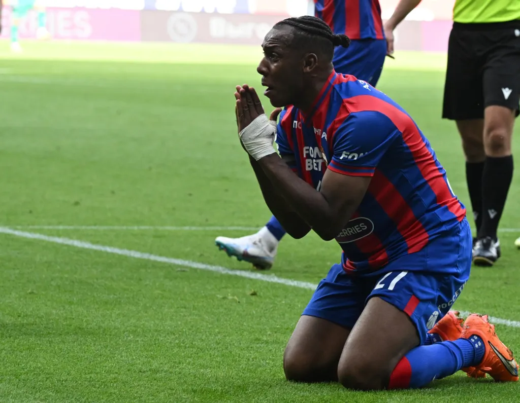 RIA_8498749.MR.1000 copy.webp