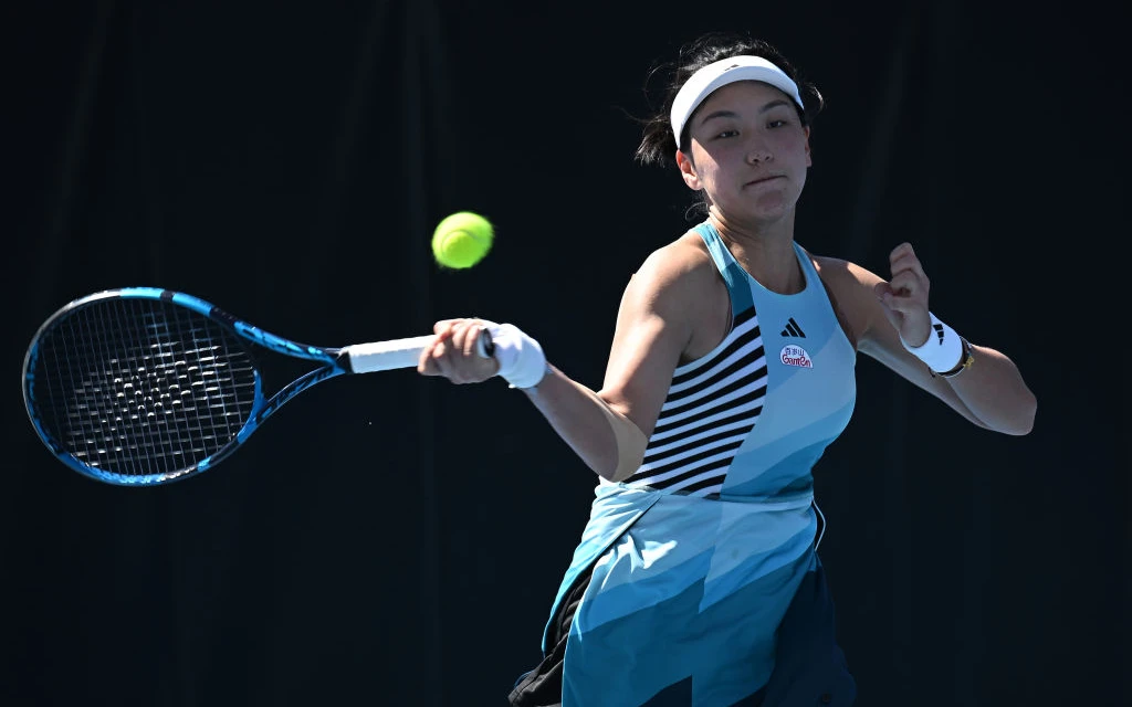 Сиюй Ван гетти.webp