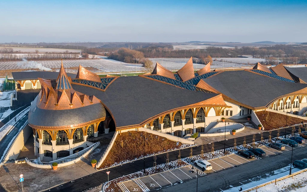 фото ФК Академия Пушкаша 11.webp