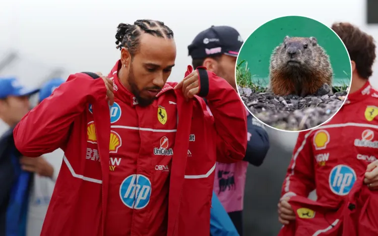 Смерть на трассе. Льюис Хэмилтон убил сурка и провалил Гран-при Канады