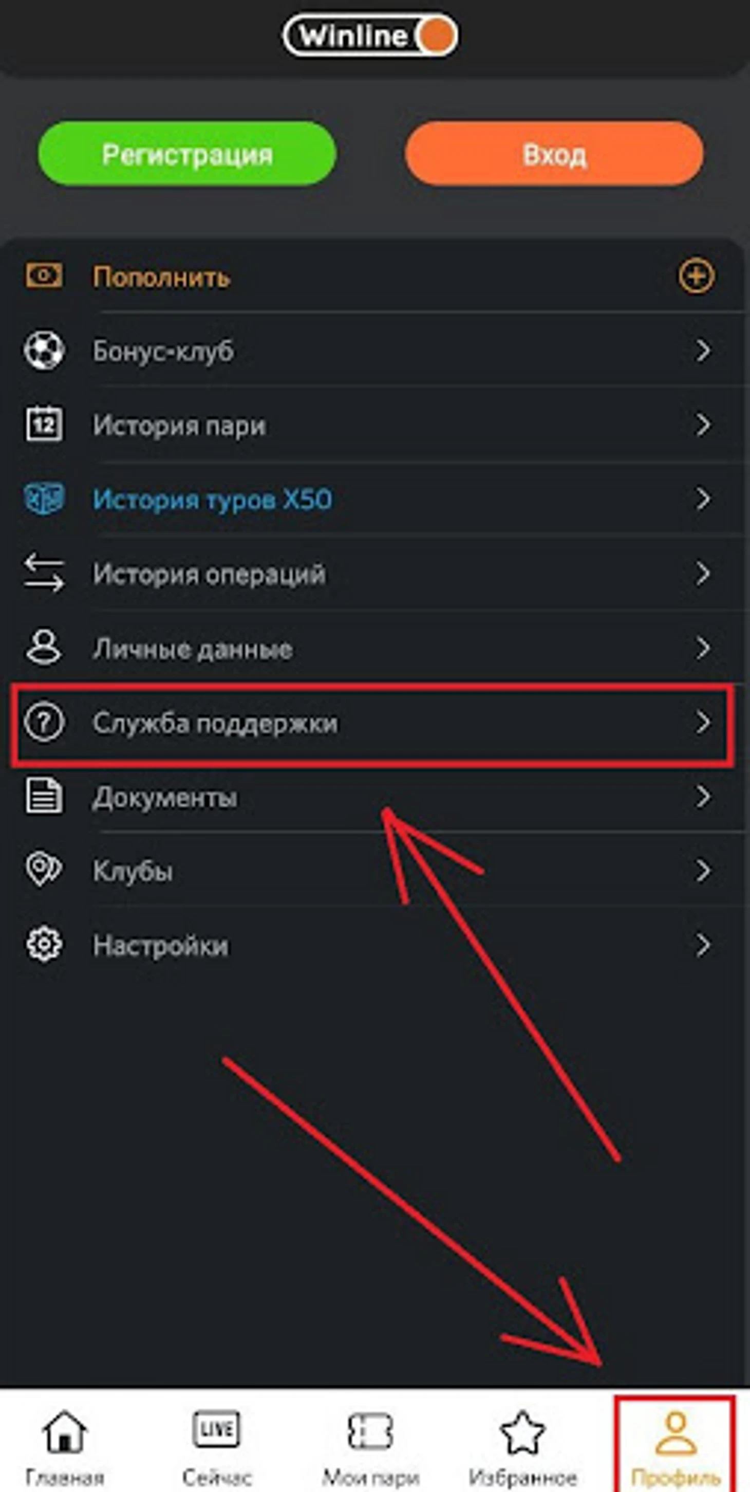 Переход в раздел «Служба поддержки» в приложении «Винлайн»