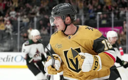 Российскому хоккеисту выбили зубы. «Вегас» от души отомстил за нашего парня