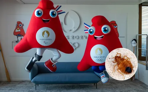 Грязь, клопы, мигранты и расточительный мэр. Париж сотрясают скандалы из-за Олимпиады