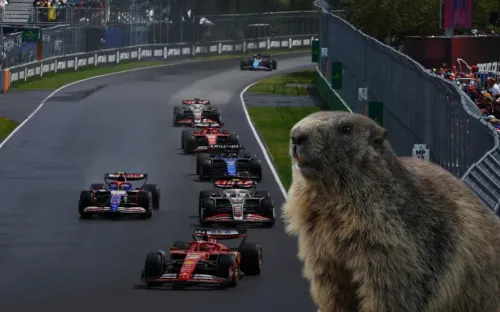 Тень сурка. Королевская гонка страдает от нашествия грызунов